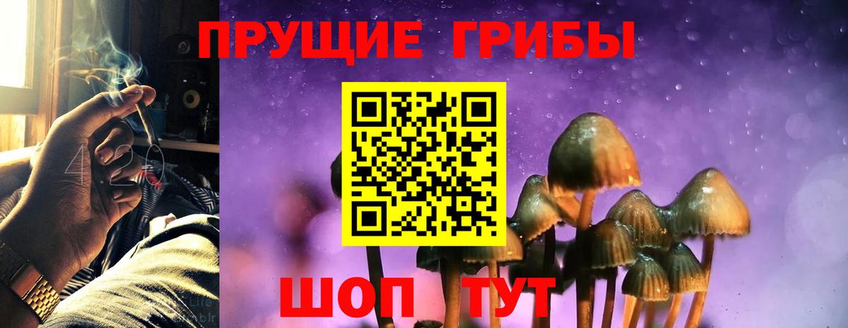 Псилоцибиновые грибы Cubensis Шебекино
